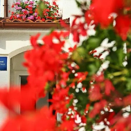 Διαμέρισμα Doris Ζαντάρ